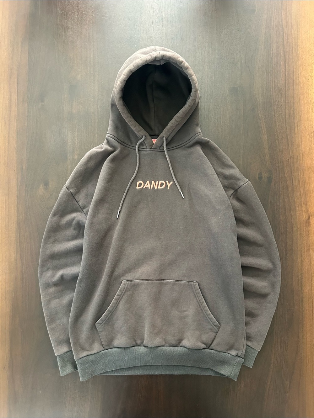 Dandy Worldwide Brown Skeleton Selfie Graphic Embroidered Heavy Hoodie Size L